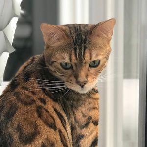 Meet your Posher, Heidi